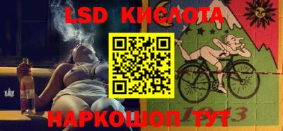 прущие грибы Волжск