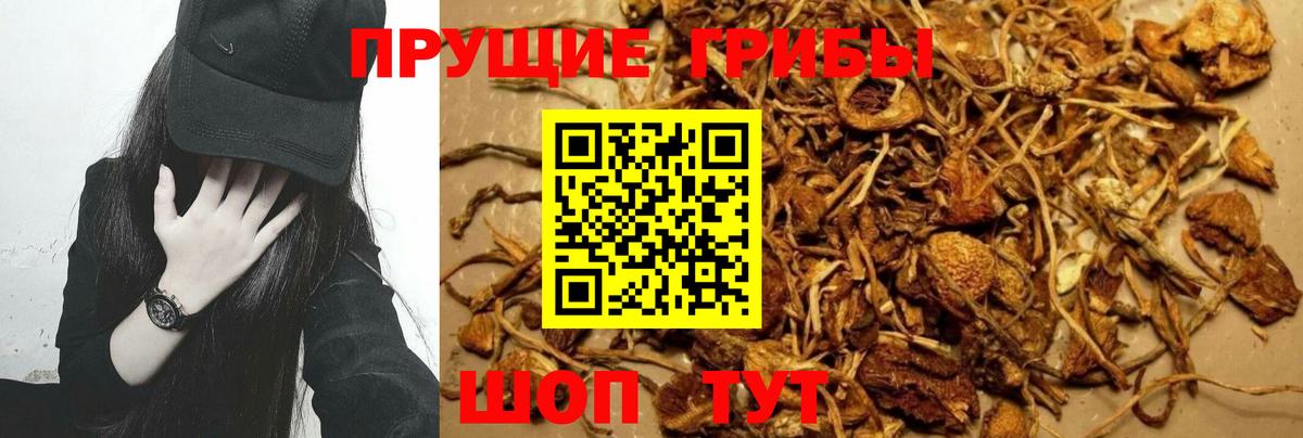 Псилоцибиновые грибы Magic Shrooms  Псилоцибиновые грибы ЛСД  Вход с VPN  Буйнакск 